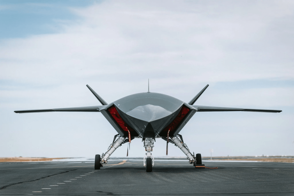Picture of MQ-28 Ghost Bat